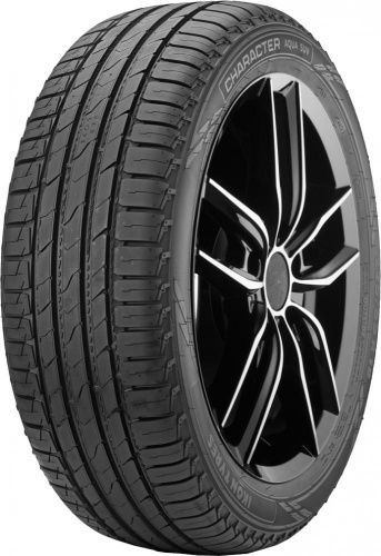 Автомобильные шины Ikon Tyres Character Aqua SUV 235/60 R18 103V