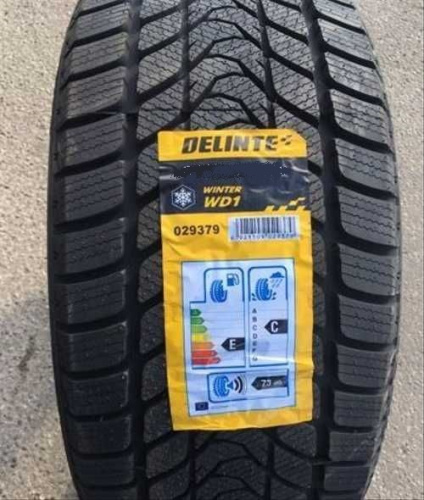 Автомобильные шины Delinte Winter WD1 255/45 R19 100H