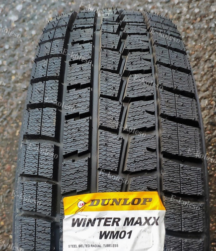 Автомобильные шины
 
Dunlop
 
Winter Maxx Wm01
 
225/50 R17 98T