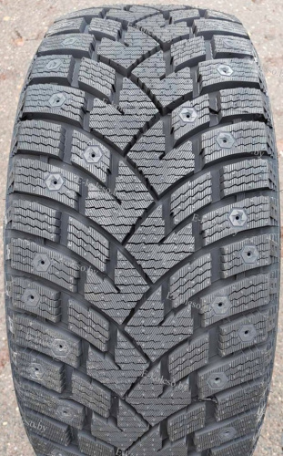 Автомобильные шины Delinte Winter WD42 275/50 R21 113T