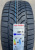 Автомобильные шины Lassa Competus Winter 2 +  225/50R18 99V